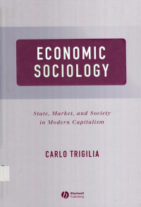 Economic Sociology : state, market, and society in modern capitalism