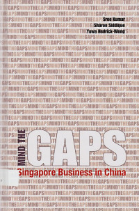 Mind the Gaps: Singapore Business in China