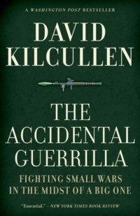 The Accidental Guerrilla : Fighting small wars in the midst of a big one