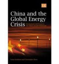 China And The Global Energy Crisis : Development And Prospects For China's Oil And Natural Gas