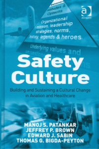 Safety Culture : Building and Sustaining a Cultural Change in Aviation and Healthcare