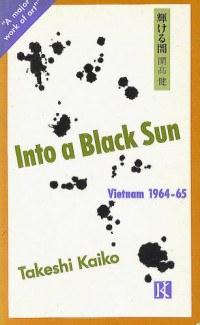 Into a Black Sun