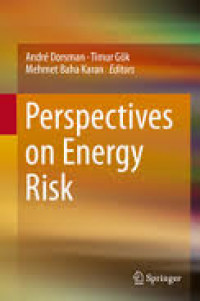 perspectives on energy risk